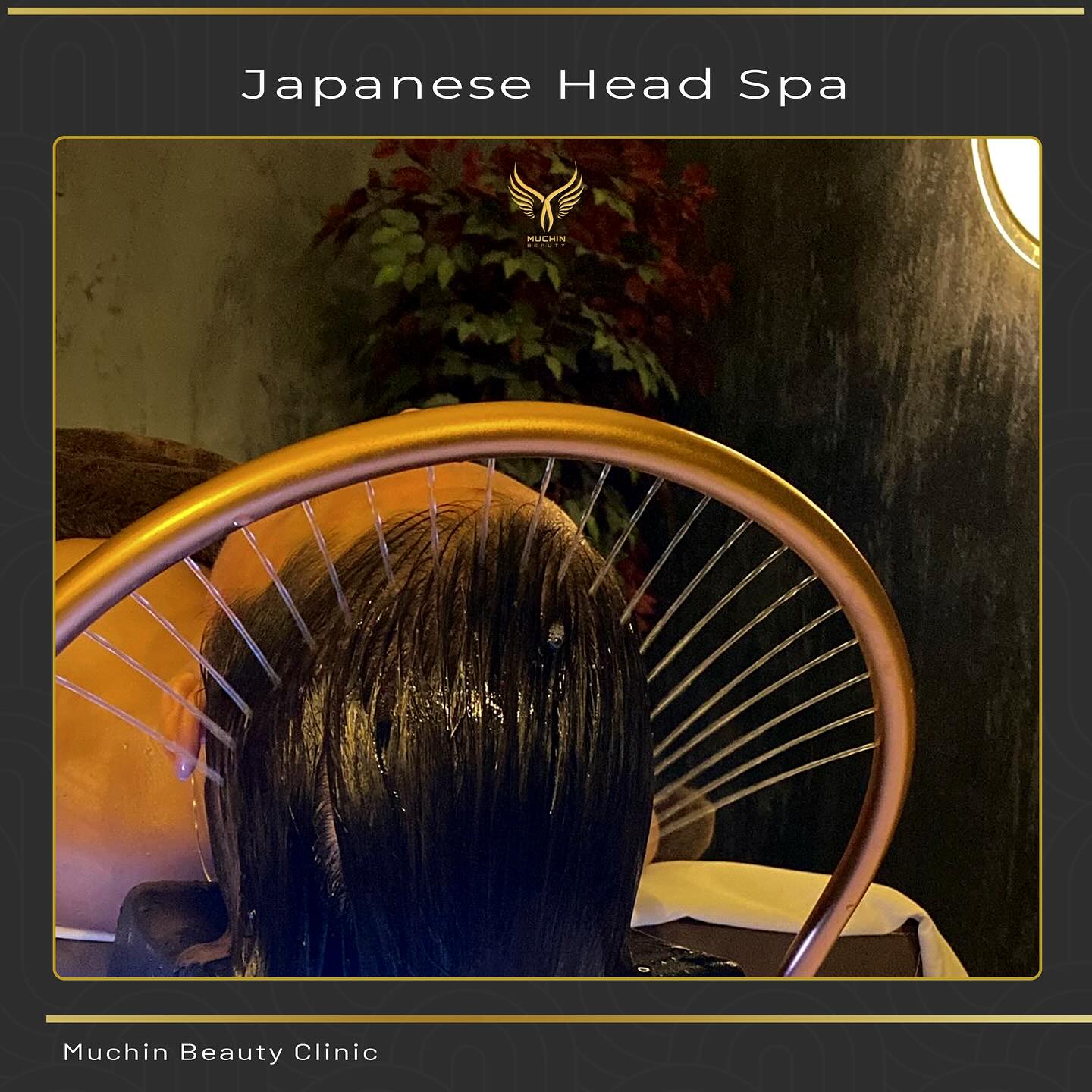 Muchin Beauty — Offers